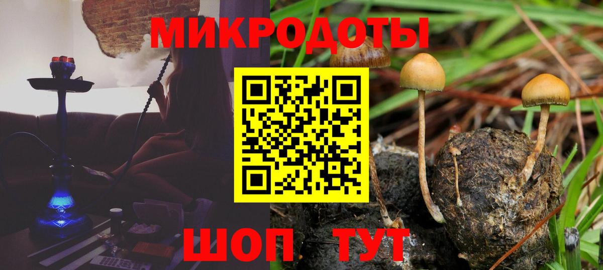 Галлюциногенные грибы Cubensis  Вход с VPN  Алексеевка 
